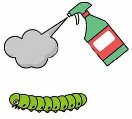 瓜果虫害,果蔬常见病虫害防治