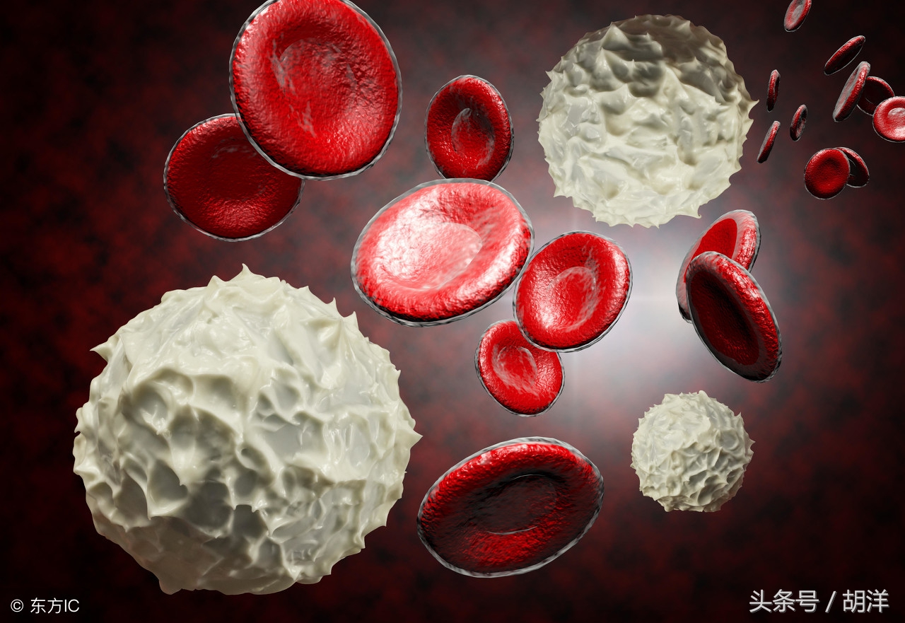 尿中有白细胞怎么治,尿里有白细胞是怎么回事尿路感染