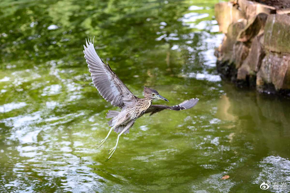 佳能人像风景原图直出参数,佳能复古风人像