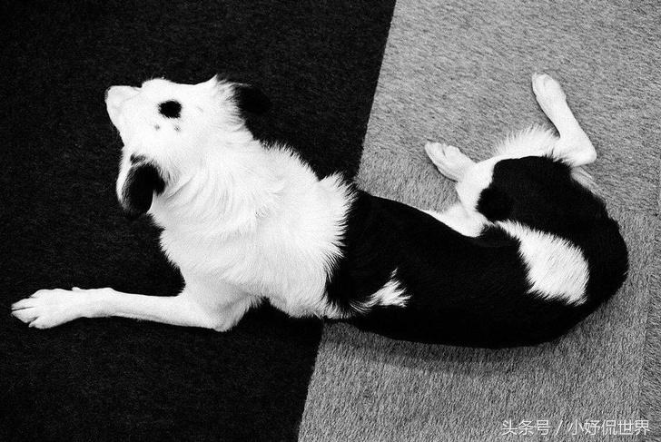 强迫症看了很舒服的100张图,密集强迫症照片