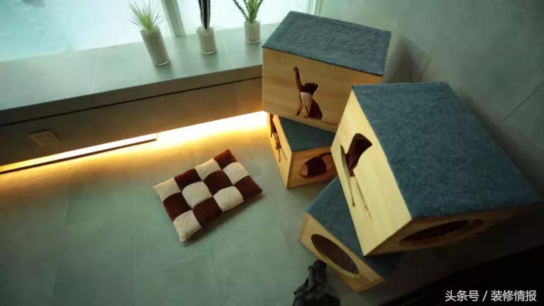 帅气舞蹈家的小阳台变身北欧风“秘密花园”诗和远方！