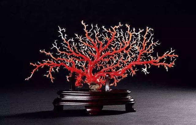 慈禧一生最爱的珠宝,慈禧陪葬的三件宝物