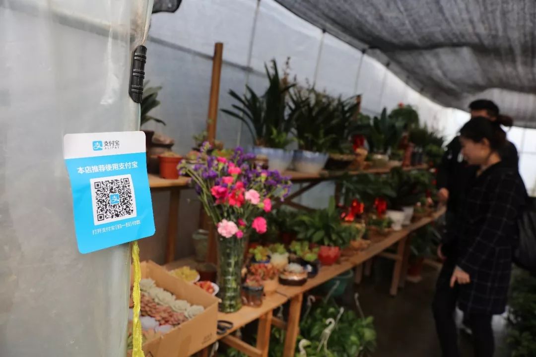 蚂蚁科技金融简介,蚂蚁的仓配供应链