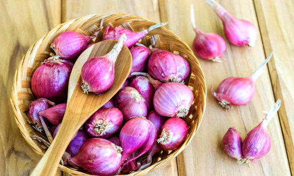 吃5种食物能帮助快速止牙痛