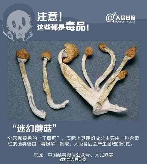 蓝精灵是真的假的,蓝精灵真实存在吗