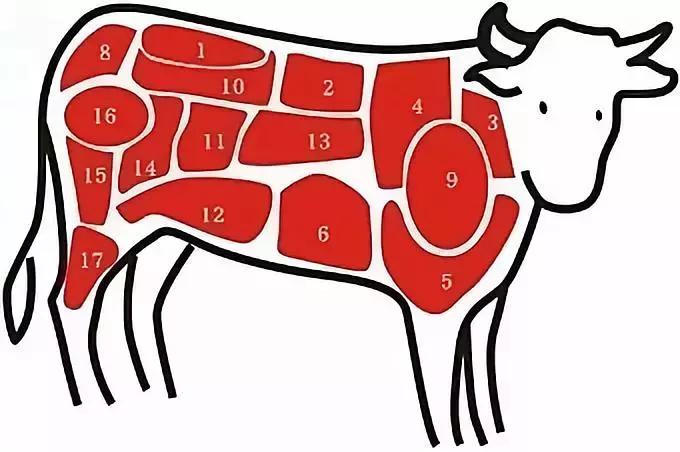 煮牛肉太硬咬不动怎么办,牛肉硬咬不动是哪个部位