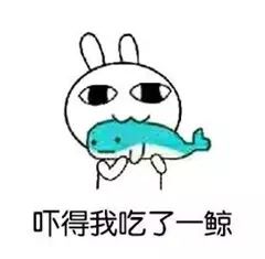 华人入境澳洲被查,华人携87万欧元安检时被没收