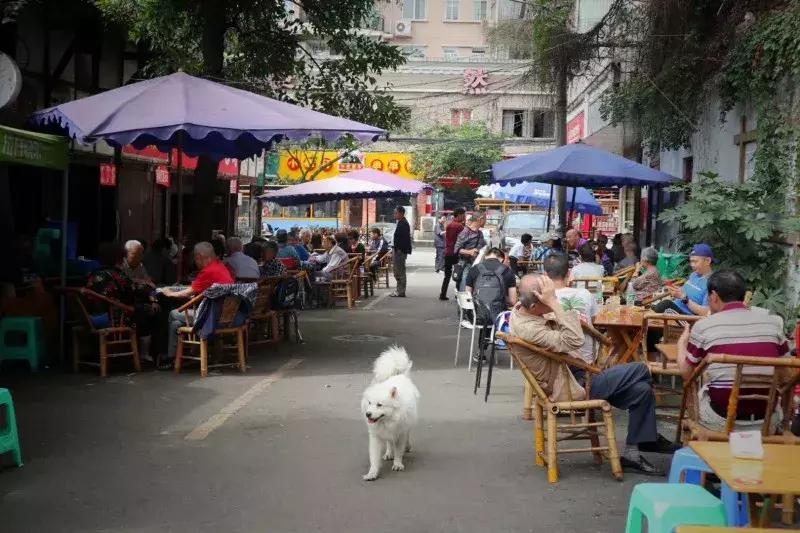 成都希尔顿酒店内部设施,成都希尔顿酒店