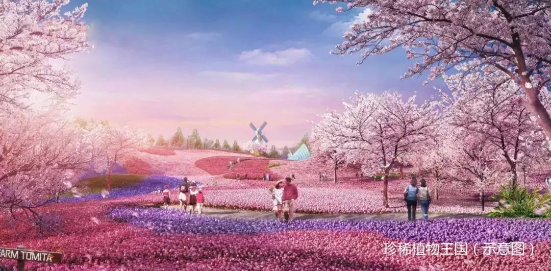 恒大童世界长沙,长沙恒大童世界最新消息