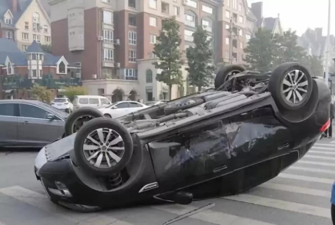 曾经的蓝鸟,当年蓝鸟