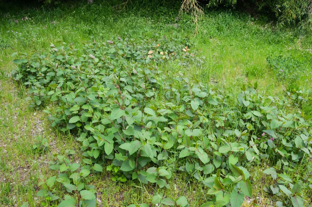 一个月入三万的人,一个月入3万的人