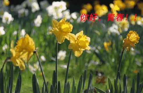 妆前乳涂太多会容易脱妆吗,妆前乳和粉底液怎么选