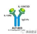 非特殊类型T细胞淋巴瘤,非霍奇金型t细胞淋巴瘤