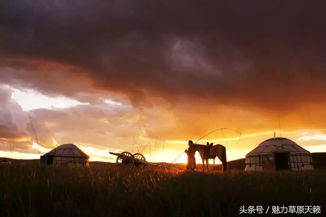 外国媒体报道蒙古国,国外报道蒙古族的视频