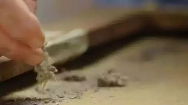 职业造假,伪造大师14幅画卖5亿