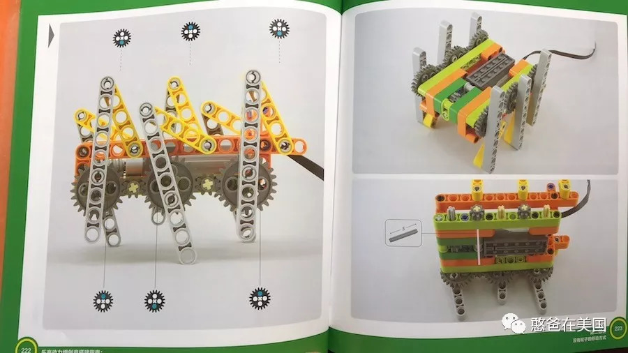 预告｜我用全球最好的乐高教材定制了一套教具，兴趣班的钱真可以省了