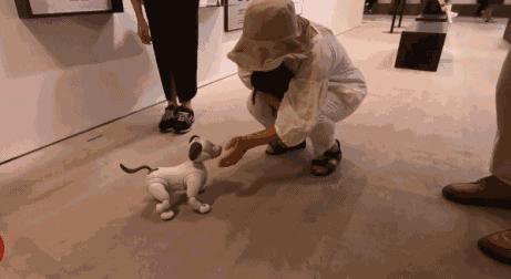 索尼拆大楼,索尼大楼拆除