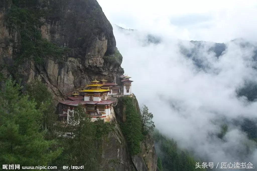 神奇的“生命之根”，长在四川华蓥山
