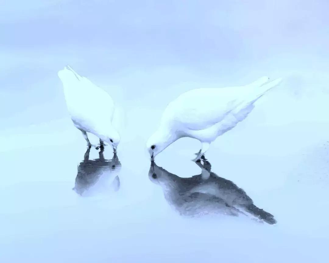 60后手机摄影发布的作品,60后手机摄影创作原声