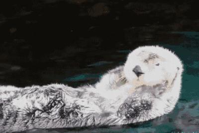 黑眼圈和眼袋总是消不掉怎么办,黑眼圈去不掉是因为没有对症下药