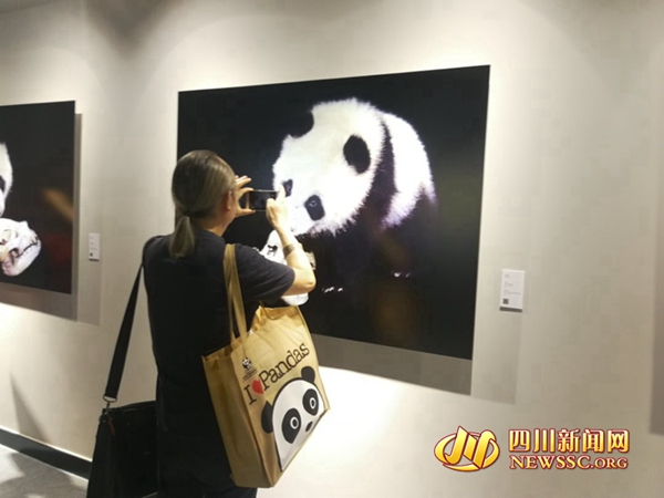 国际熊猫艺术中心,熊猫国际艺术馆