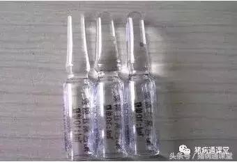 养猪人必看，猪的分娩管理技术9要点！