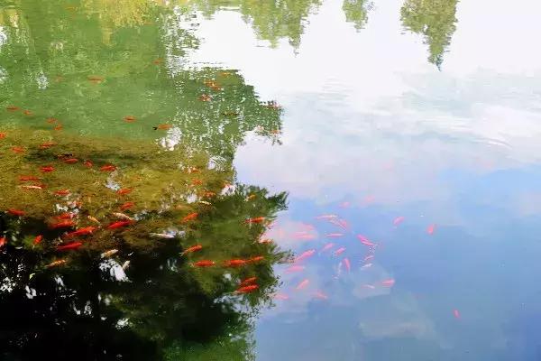 黑龙潭的记忆碎片，愿你越来越好