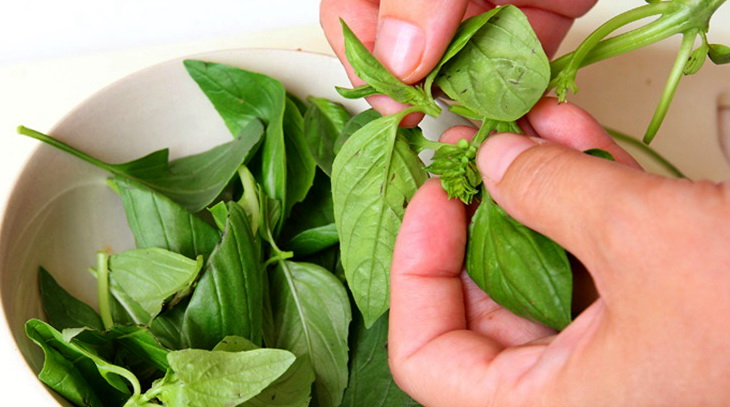 海边贝类种类,各种贝类的名称