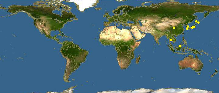 海边贝类种类,各种贝类的名称