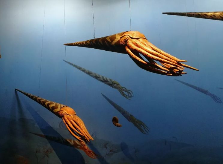 「免费科普招募」《侏罗纪》《疯狂原始人》告诉你的都是假的？专业老师带你体验别样的科普之旅！