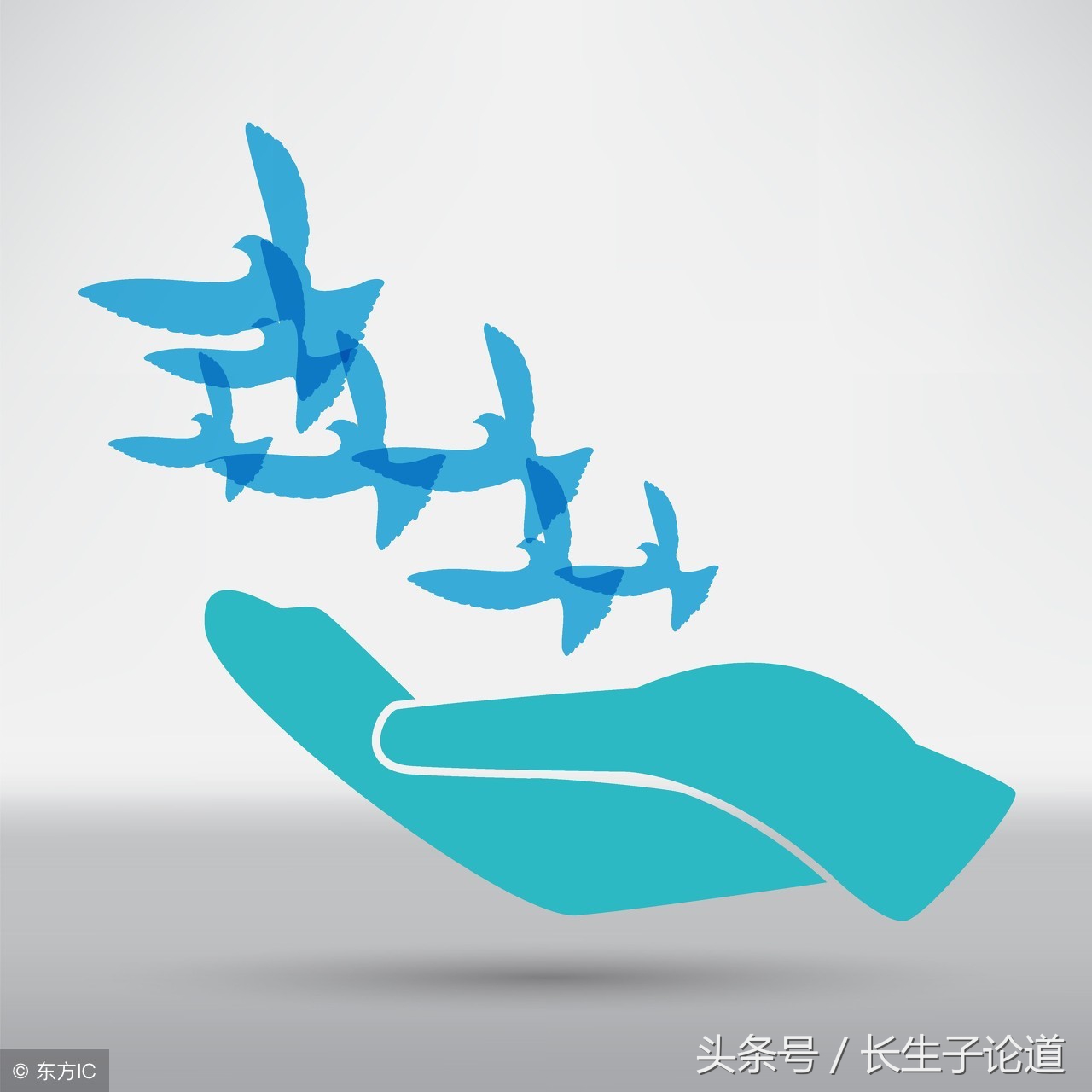 卡特总统代表谁的利益,卡特总统遇刺案