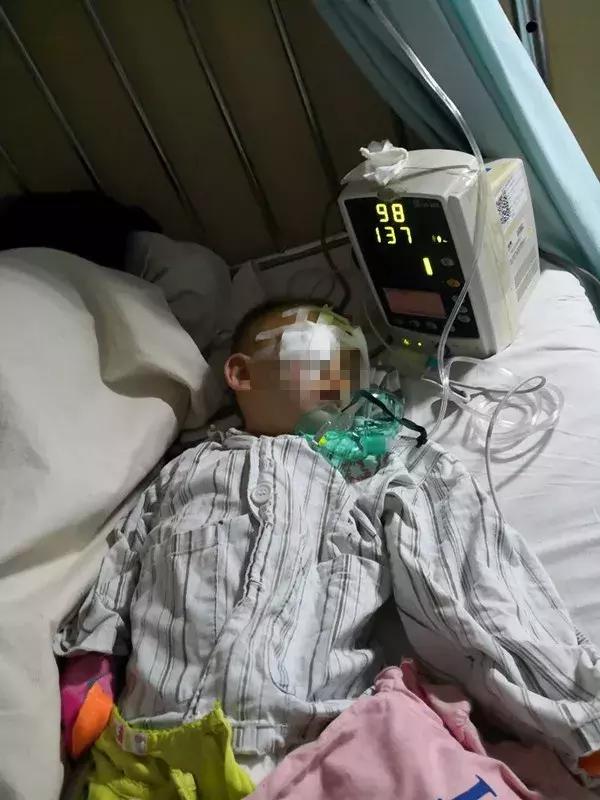 女婴遭狗扑咬完整视频,女婴遭140斤恶犬撕咬面部20分钟