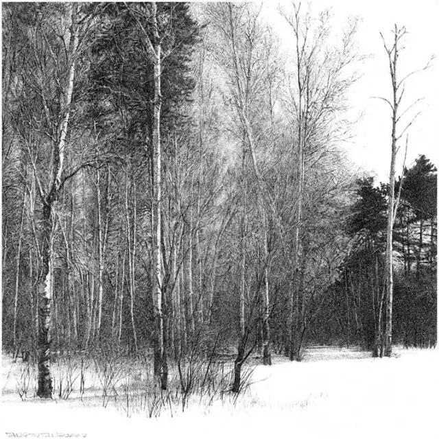 顶级超写实钢笔画,最惊艳的钢笔画大神