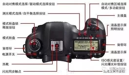 初学者单反相机入门教程,如何学习单反数码相机的简单操作
