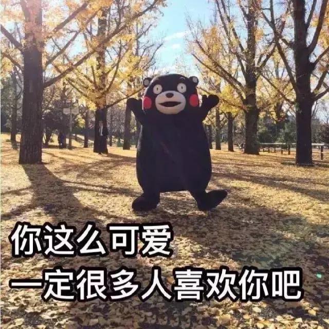 真正有效果的护肤成分,真正有用的护肤成分