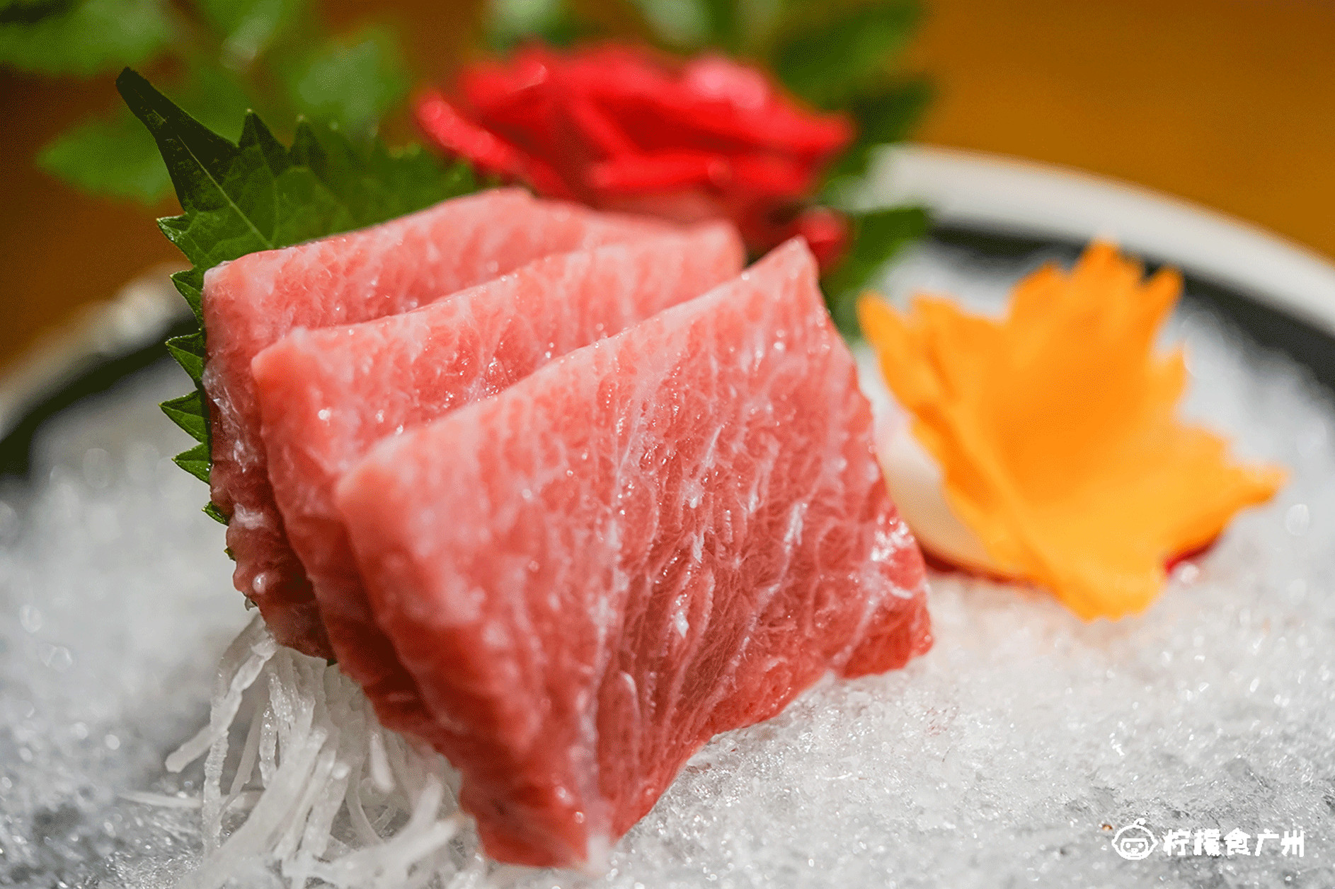 价值20w的金枪鱼,价值2k的蓝鳍金枪鱼