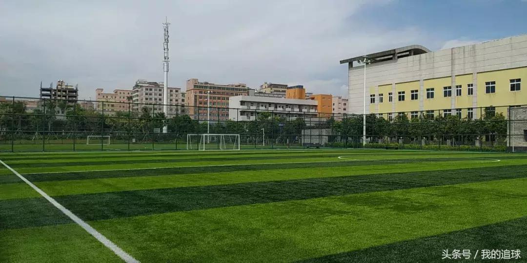 小时的我不会踢球,现在的我不敢踢球