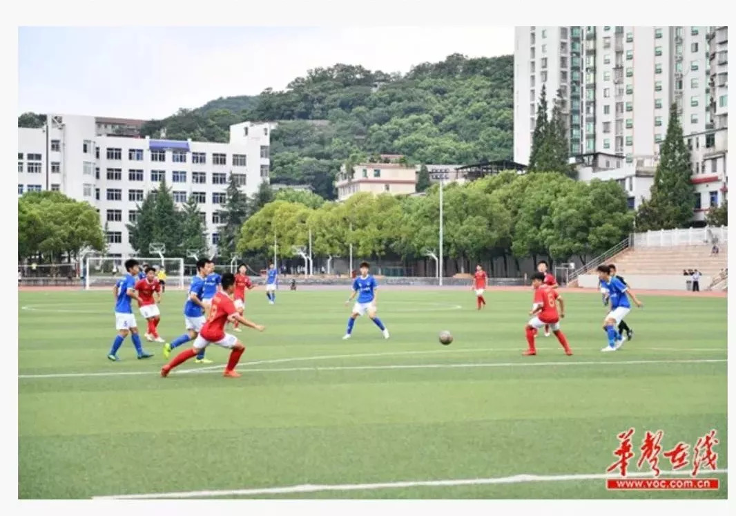 哪有什么所谓的捷径,没有捷径可走经典名句