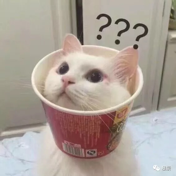 寤剁Η鏀荤暐甯﹁揣,寤剁Η鏀荤暐鍚屾