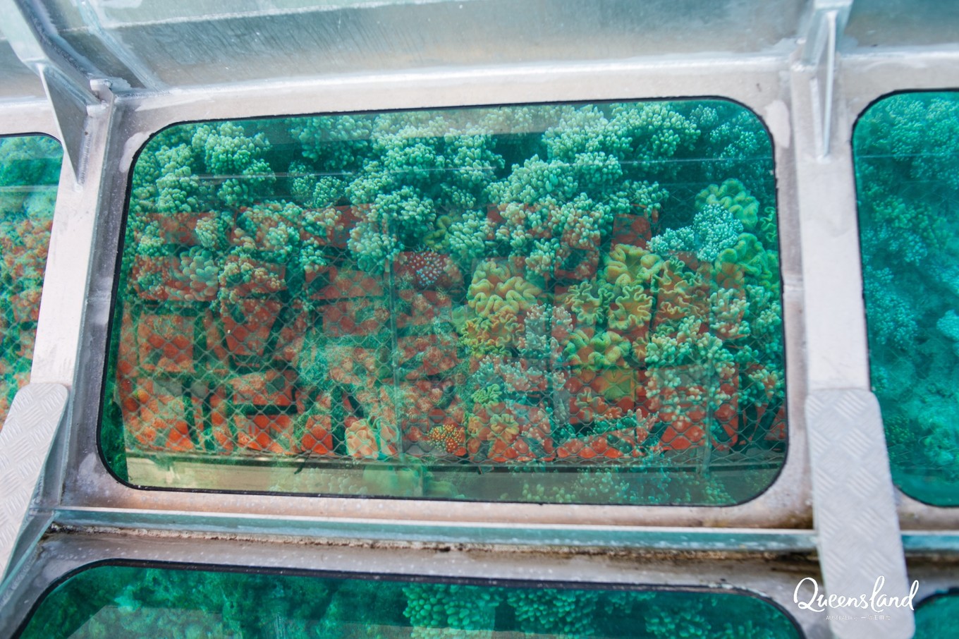 大堡礁值得去吗现在能去吗,大堡礁旅行攻略