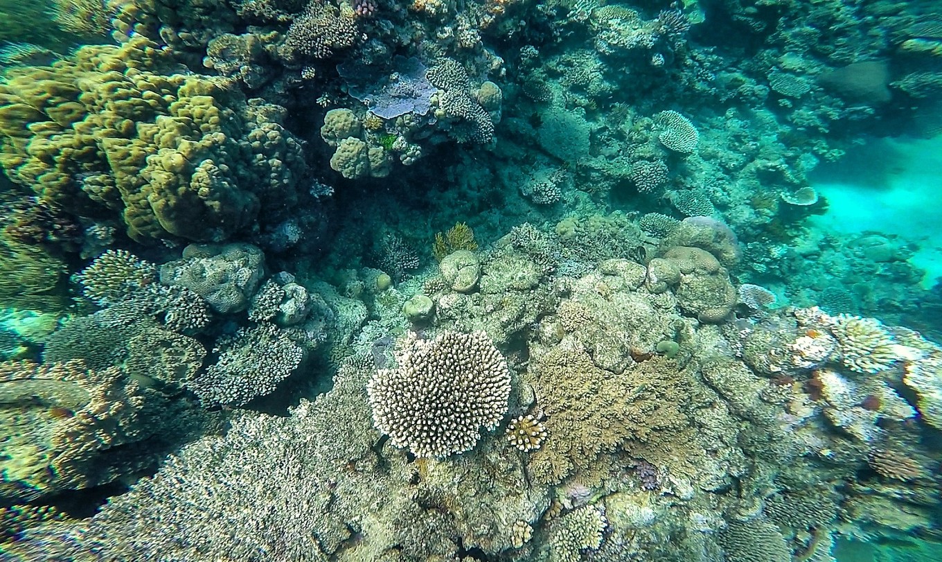 大堡礁坐船多久,去大堡礁玩多少钱