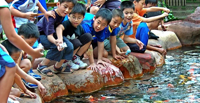 去长鹿旅游休博园需要带什么,去长鹿旅游休博园住哪里