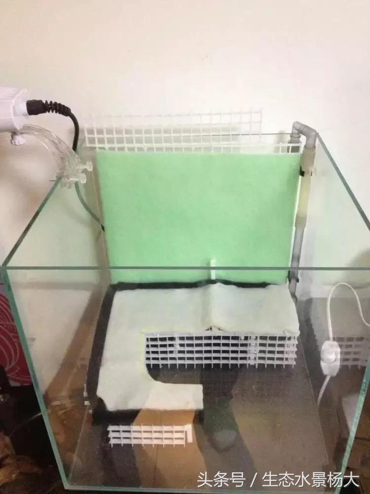 自己动手做水陆缸需要多少钱,第一次做缸视频教程