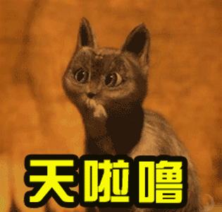 星沙湘郡未来实验学校承诺6年不涨学费，一开学，四年级学费就涨了3800元