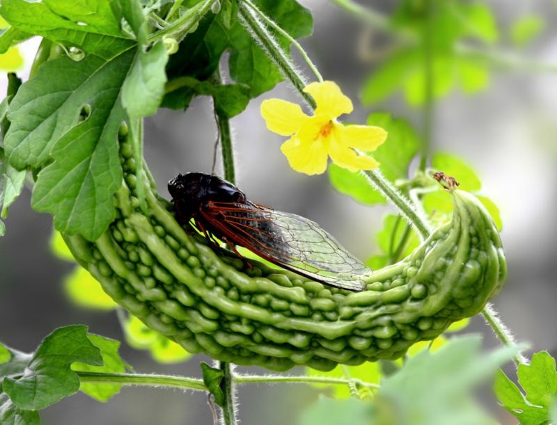 管恩锋简介,管恩锋品读好诗词