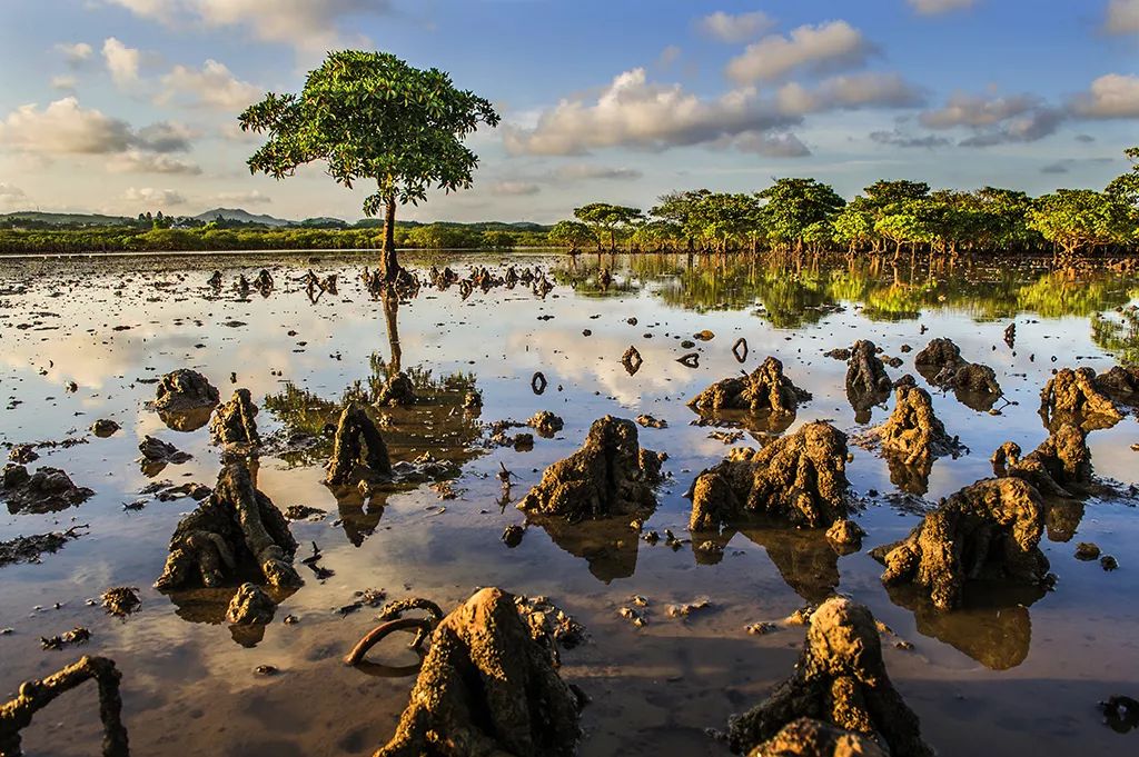 跟着旅游达人去体验,跟着旅行达人一起去日本