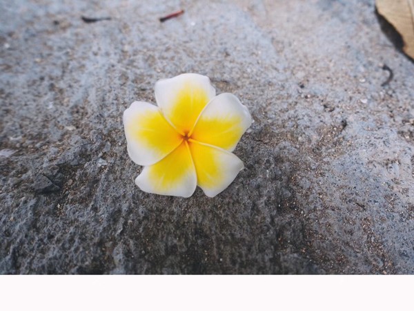 福建东山岛风动石景区视频,漳州东山县风动石景区介绍