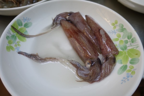 福建东山岛风动石景区视频,漳州东山县风动石景区介绍