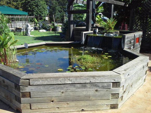 「龟龟环境篇」沼泽过滤(bogfilter):一种原生态水处理技术