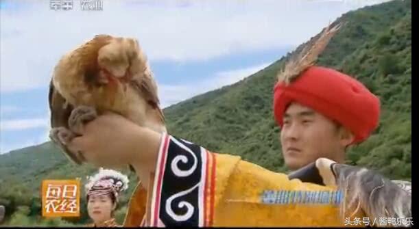 敢和毒蛇过招的动物,敢跟蛇较量的是什么动物